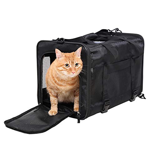 Softsided Cat Carrier