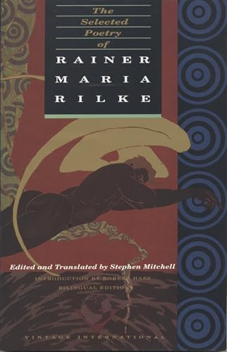 Amazon.com: Letters to a Young Poet: 9780674052451: Rilke, Rainer