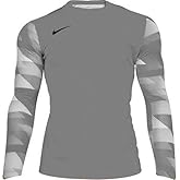 Nike Park IV Goalkeeper Jersey (Grey,S)