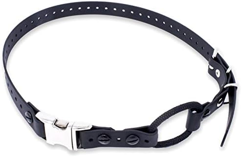 certified assistance dog