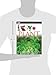 DK Eyewitness Books: Plant: Discover the Fascinating World of Plants