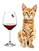 Simply Charmed Cat Wine Charms or Drink Glass Markers - Magnetic - Great Birthday or Hostess Gift for Cat Lovers - Set of 6 Cute Kitty Glass Identifiers