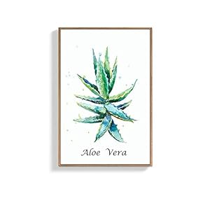 Framed Canvas Wall Art for Living Room, Bedroom Aloe Canvas Prints for Home Decoration Ready to Hang - 16x24 inches