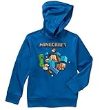Minecraft Boy's Pullover