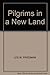 Pilgrims in a New Land by 