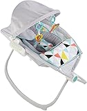 Fisher-Price Premium Auto Rock 'n Play Sleeper with SmartConnect