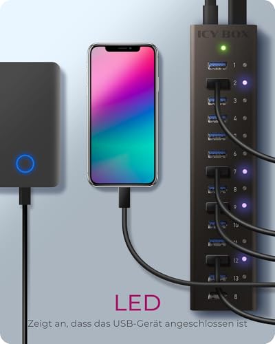 Raidsonic ICY BOX IB-AC6113 13-Port USB 3.0 Hub
