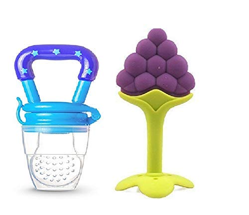 baby pacifier fruit nibbler