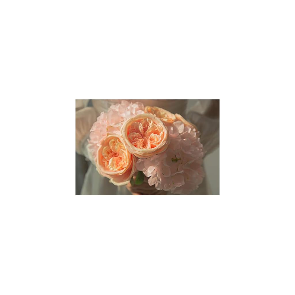 UnikLove Peach Artificial Silk Cabbage Rose 6Pcs Silk English Cabbage