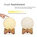 IDEAcone Moon Light Lamp, Luna Moon Lamp, Modern Home 3D Printing Lamp, Warm Yellow Night Light with Wooden Mount (Battery + Chargable) (Large)