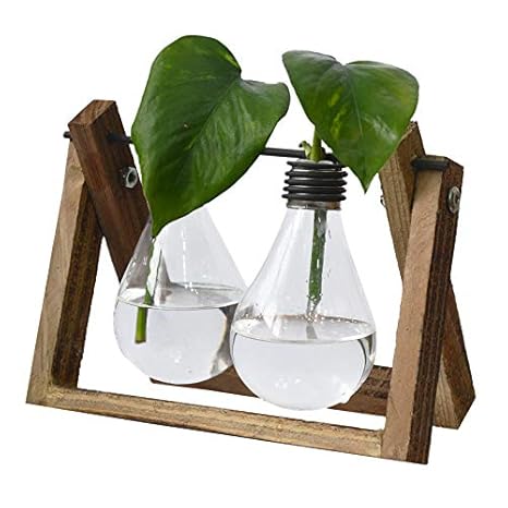 Macetero Interior Decorativo de Cristal, con Soporte de Madera ...