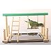 Balacoo Bird Parrot Play Stand Self Assemble Playground Wood Perch Gym Playpen with Ladder Swing Toys Exercise Play Standing Stick Color Randomthumb 2