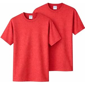 Gildan Unisex-Adult DryBlend T-Shirt, Style G8000, Multipack