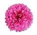 SUNBEAUTY Tissue Paper Pom Pom Flowers Paper Lanterns Wedding Birthday Party Decorations 12pcs