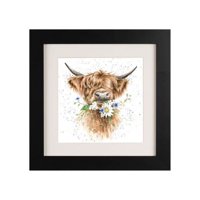 Wrendale Designs "Daisy Coo Cow Framed Picture - Various Frame Colours (Black)