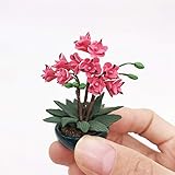 Matoen 1:12 Mini Dollhouse Miniature Green Plant Flower in Pot Fairy Garden Accessory Decoration Wall Hanging Flower Hut Scene Shooting Prop Miniature Garden (A)