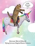 Flying Unicorn Cat on Standing Unicorn Horse