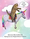 Flying Unicorn Cat on Standing Unicorn Horse