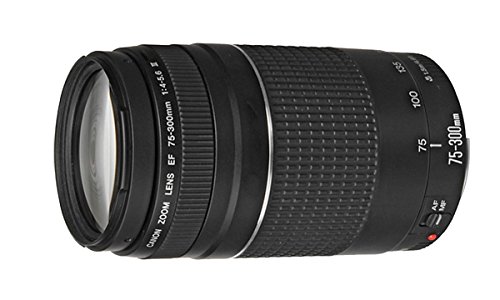 Canon-EF-75-300mm-f4-56-III-Telephoto-Zoom-Lens-Bundle-for-Canon-DSLR-Cameras-International-Version