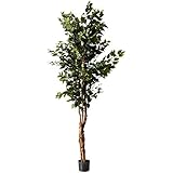 Nearly Natural 5209 Ficus Silk Tree, 6-Feet, Green