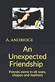 An Unexpected Friendship by A. andridge