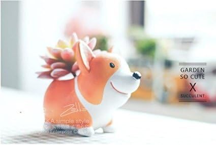 Youfui Cute Corgi Planter Flowerpot Resin Succulent Planter Bonsai Pot Desk Holder Mini Ornament, Yellow, 10cm(L)*10cm(W)*10cm(H) - Image 5