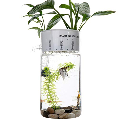 PLAFUETO Creative Glass Fish Tank Ecological Aquarium for Desk Office Table Living Room Bedroom Home Decor