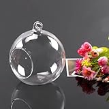 Alicenter(TM) New Hanging Glass Ball Vase Flower