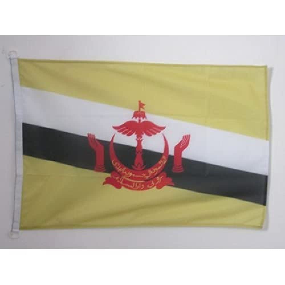 AZ FLAG - Brunei Nautical Flag - 18'' x 12'' - For Outdoor and Boat - Bruneian Banner Knitted Polyester with Two Plastic Rings - Vivid Colors - 12x18 in - 45x30 Cm — image 1