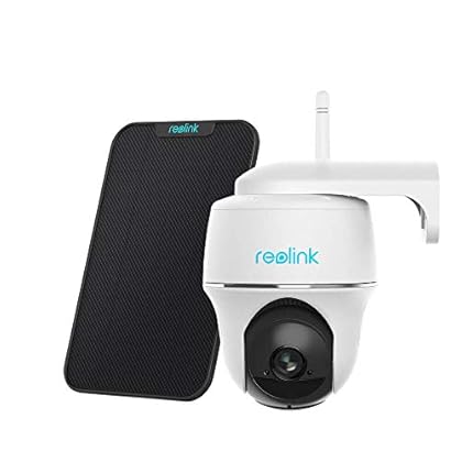 argus reolink security