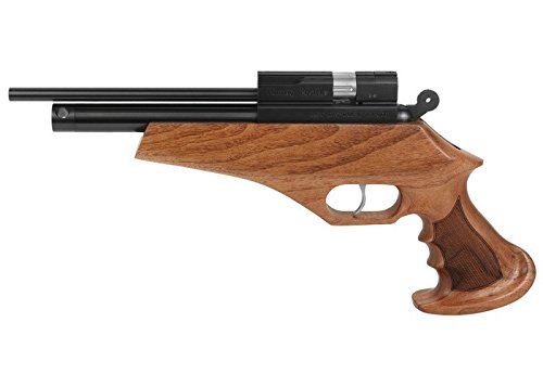 Evanix Hunting Master AR6
