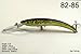 Akuna Pack of 5 Hypnotizer Series 5.9 inch Deep Diving Fishing Lure [BP 5 FLA 82 B]