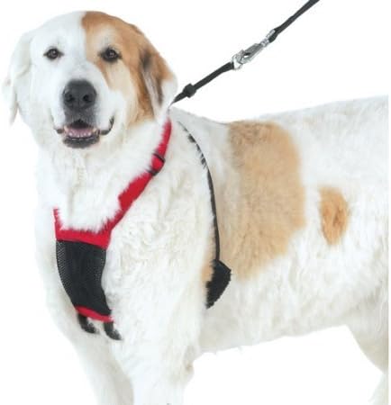 yuppie puppy anti pull harness