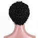TINY LANA Afro Wigs Curly Hair Wigs for Black Woman Short Kinky Wig with Brazilian Remy Human Hair Black Perruque Afro Naturelle Wigs + Free Wig Cap