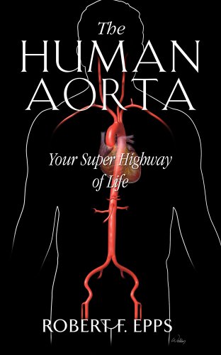 The Human Aorta, Your Super Highway of Life