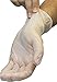 Disposable Vinyl Gloves - Powder Free, Clear, Latex Free and Allergy Free, Plastic, Work, Food Service, Cleaning, Wholesale Cheap, Size Medium - 200 Count