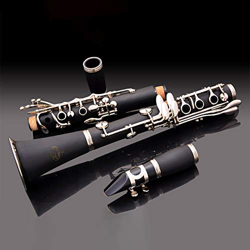 URlighting 10PCS Clarinet Joint Corks Sheet Instrument Replacement Kit, 17 PCS Clarinet Pads Bb Clarinet Woodwind Instrument Pads, 27 Pieces Clarinet Instrument Repair Accessories