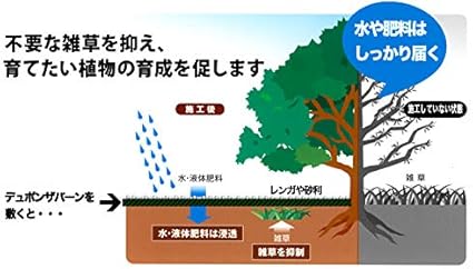 Amazon Co Jp 耐用年数 半永久 砂利下 1本 50平米 ザバーン 136g 防草シート1m 50m グリーン 雑草対策 草取り グリーンフィールド 砂利下シート 曝露 デュポン プランテックス ホーム キッチン Amazon Co Jp 耐用年数 半永久 砂利下 1本 50平米 ザバーン 136g 防草シート1m 50m グリーン 雑草対策 草取り グリーンフィールド 砂利下シート 曝露 デュポン プランテックス ホーム キッチン