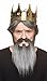 Mustaches Self Adhesive, Novelty, Lord Fake Beard and Fake Mustache, False Facial Hair, Costume Accessory for Adults, Salt and Pepper Color