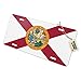 GRAPHICS & MORE Florida State Flag Novelty Metal Vanity License Tag Plate
