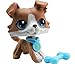 LPSOLD LPS Collie 67 Grey and White Blue Eyes Dog with Accessories Action Cartoon Figure Collection Boy Girl Kid Gift (lps 67)