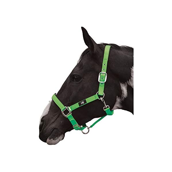 Hy Grand Prix - Cavezza