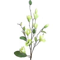 Artificial Magnolia Floral,Fake Flowers Wedding Bouquet Party Home Garden Decor Han Shi (Green, L)