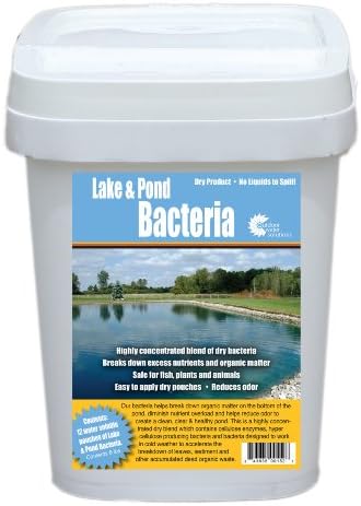 Lake & Pond Bacteria Packs 6lb. | 12 Dissolvable Packs | Naturally Cleans Pond