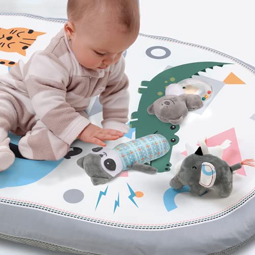 Lupantte 2 Pack Baby Rattle Toy Infant Soft Hand Grip Toys Stuffed Animal Raccoon Handbells Sensory Development Cute Plush Rattle Stroller Toys With Sound 3 6 9 12 Months And Newborn Gifts Pricepulse