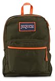 JanSport Overexposed Backpack