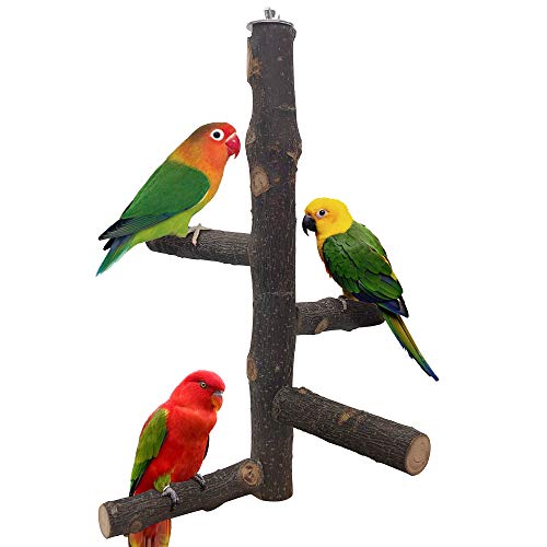 LiMio Bird Perch Natural Crab Apple Hard Wood Stand, Conure Toys Bird Platform for Cage, Cockatiel Parakeet Cage Accessories for Small Medium Parrots