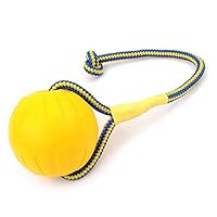 PetUlove Rubber Dog Ball Toy on a Rope Dog Toy,Dog Ball Toy for Dog