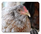 Mouse Pad - Chicken Hen Pullet Agriculture Alive