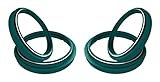 SKF Fork Seal & Fork Scraper Kit - 2 Each